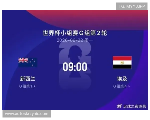 世界杯新西兰对阵埃及比赛技术统计全面分析与亮点解析 世界杯新西兰对阵埃及比赛技术统计全面分析与亮点解析